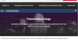 TransnationalGangs