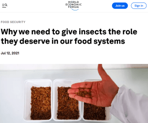 Insects.Bugs_.WorldEconomicForum.WEF_