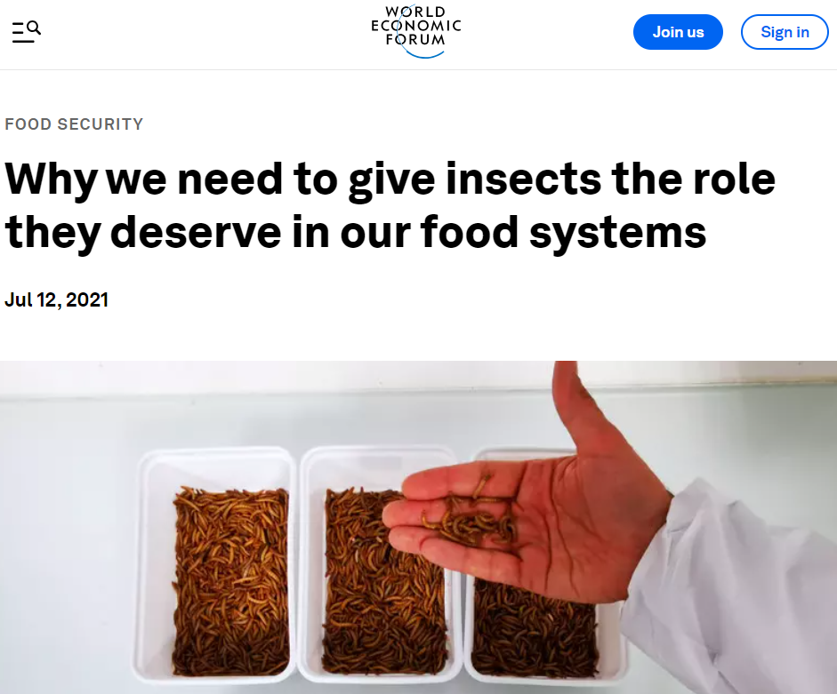 Insects.Bugs.WorldEconomicForum.WEF