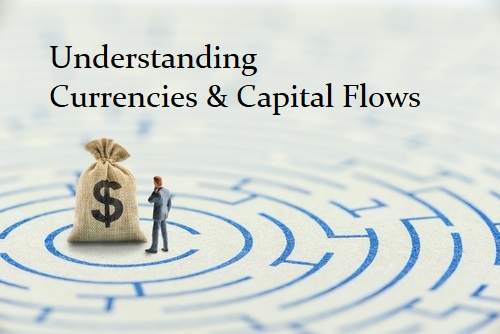 Understanding Currency capital flows