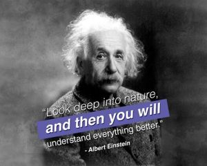 Einstein.LookDeepIntoNature