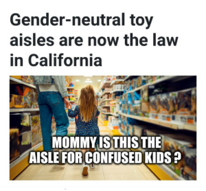 genderneutraltoyscalifornia