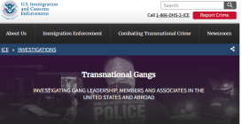 TransnationalGangs