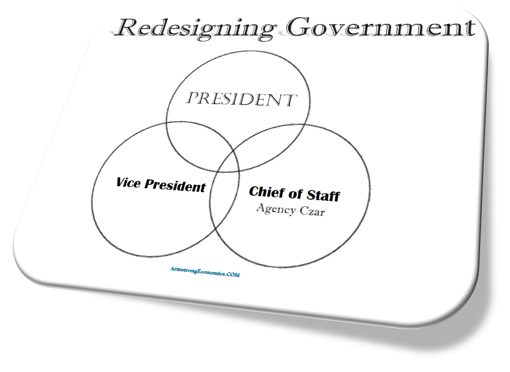 Redesigning Government 1