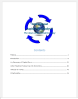 Capital Flow Analysis Report - 2024 WEC - Image 2