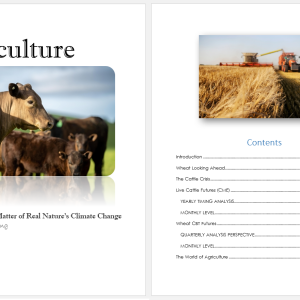 Agriculture_2024 Index