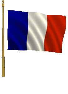 french_flag France Flag