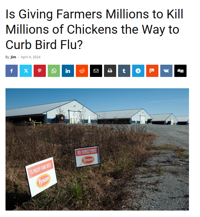 2025_06_26_11_03_53_Is_Giving_Farmers_Millions_to_Kill_Millions_of_Chickens_the_Way_to_Curb_Bird_Flu