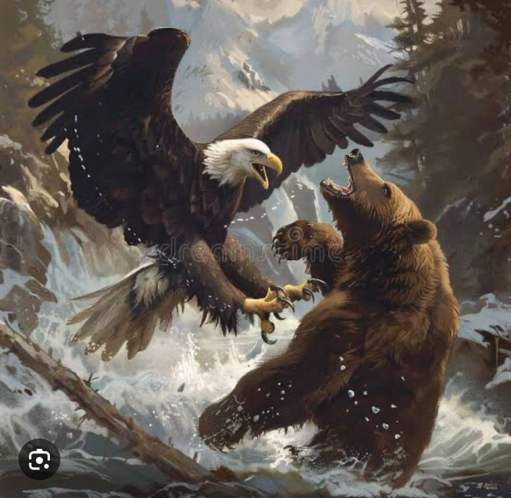 eaglr vs bear