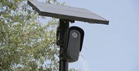 flockcamera