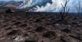 Scorched,Earth,Military,Tactic